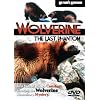 Wolverine - The Last Phantom
