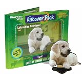 Discovery Post Dog Discover Pack, Labrador