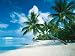 Ravensburger 807338 - Südsee Bora Bora 1000 Puzzle + Schlüsselanhänger