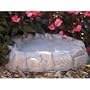 Rocky Mountain Bird Bath