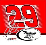  : Kevin Harvick Nascar Team Car Flag