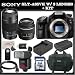 Sony a (alpha) SLT-A65VK - Digital camera - SLR - 24.3 Mpix - 18-55mm f/3.5-5.6 DT - Sony AF D 75-300mm f/4.5-5.6 Lens - SSE Package: Wireless Remote, Replacement FM500H Battery, Rapid Travel Charger, 16GB SDHC Memory Card, Card Reader, Shoe Mount Flash, Carrying Case, HDMI Cable & SSE Microfiber Cleaning Cloth