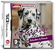 Nintendogs Dalmatian & Friends (Nintendo DS)