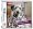 Nintendogs Dalmatian & Friends (Nintendo DS)