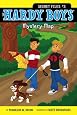 Mystery Map (Hardy Boys: Secret Files)