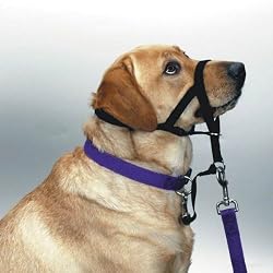 Halti Headcollar Black Size 4