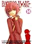 Bamboo blade, Tome 14 :