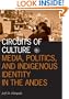 Circuits of Culture: Media, Politics, and Indigenous Identity in the Andes (Visible Evidence)