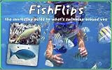 Fish Flips Carribean