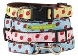 Cute As A Bug - Pink - Barker & Meowsky Dog Collar - Medium