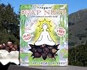 Maggie's Soap Nuts. (50 Loads) 100% Natural Laundry Soap. Grows on TreesTM.