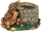 Turtles Near Well Garden Decoration Collectible Figure Statue Model