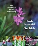 Growing hardy orchids