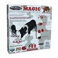 Nina Ottosson Dog Magic Activity Toy