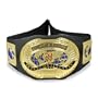 WWE World Title Belt: Spinning Championship Belt Champ (RAW)