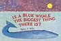 Is a Blue Whale the Biggest Thing There Is?