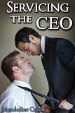 Servicing the CEO (First Time Gay)