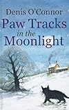 Paw tracks in the moonlight