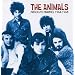 Absolute Animals 1964-1968