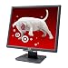 Acer America 19" LCD Monitor - Black