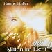 Mitten im Licht