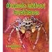 Animals Without Backbones (Big Science Ideas)