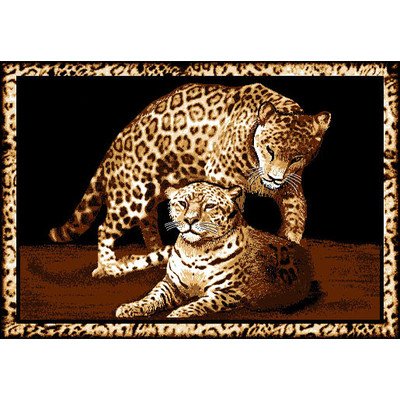 Home Dynamix Zone 7507-502 Polypropylene 3-Feet 7-Inch by 5-Feet 2-Inch Area Rug, Black