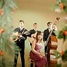 Abbildung von The Seekers