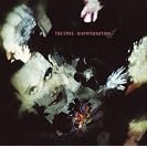  Disintegration