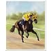 Horse of Sport XI by Michelle Moate Signed Giclee Art