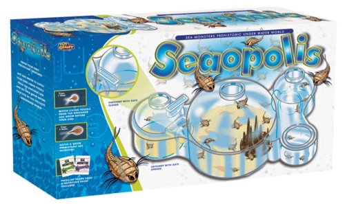Childrens Toyshop  Toys : Seaopolis