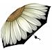White Daisy Folding Umbrella by Harold Feinstein