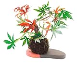 カクセー 光触媒アート盆栽・もみじ MOMIJI-04