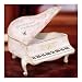 Lena Liu The Wind Beneath My Wings Musical Piano