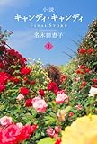 書評 小説キャンディ･キャンディ FINALSTORY （上） by 惺