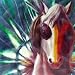 Horse Of A Different Color Warrior Horse Canvas Wall Art