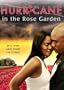 Hurricane in the Rose Garden