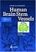 Book Human Brain Stem Vessels: Including the Pineal Gland and Information on Brain Stem Infarction