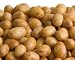 Soy Nuts/Beans
