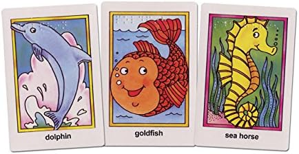 Go Fish Flash Cards - Braille