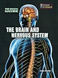 The brain and nervous system