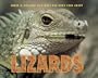 Sneed B. Collard III's Most Fun Book Ever About Lizards