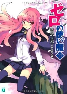 ゼロの使い魔〈11〉追憶の二重奏 (MF文庫J)