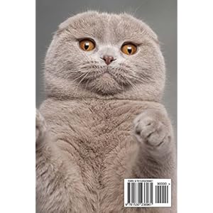 Scottish Fold Cat Journal "I Coulda Been a Contender.": 150 page lined notebook/diary