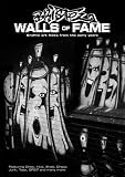 Bristol walls of fame : graffiti art flicks from the early years
