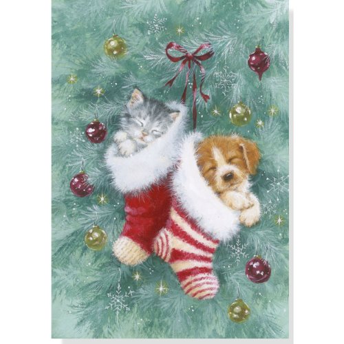 Stocking Pets Holiday Boxed Cards (Christmas Cards, Holiday Cards, Greeting Cards)