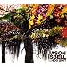 Jason Isbell And The 400 Unit
