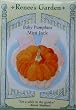 Mini Jack Baby Pumpkin Seeds 25 Seeds