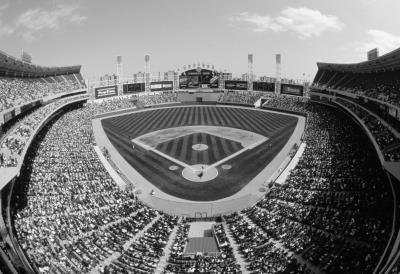 Professionally Framed Comiskey Park Chicago White Sox Black White Archival Photo Poster - 13x19 with RichAndFramous Black Wood Frame