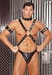 Men's 4 Piece Adjustable Harness Set Includes Leather Harness, Arm Bands And Collar (Black;Men's One Size)
